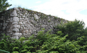 Jeste li znali za Strošićku tabiju?