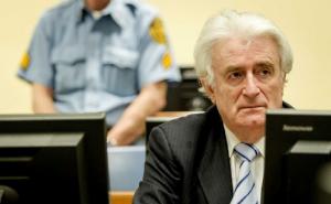 Karadžić privremeno na slobodi?