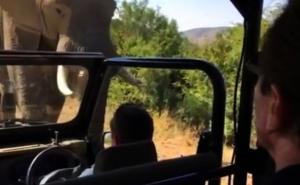 Slon napao vozilo u kojem je bio Arnold Schwarzenegger