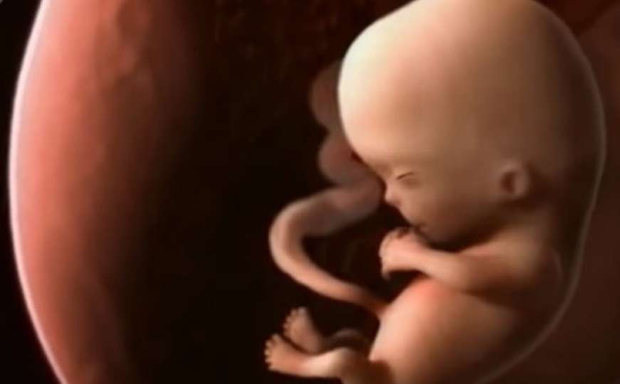 Kako izgleda 9 mjeseci u maternici?