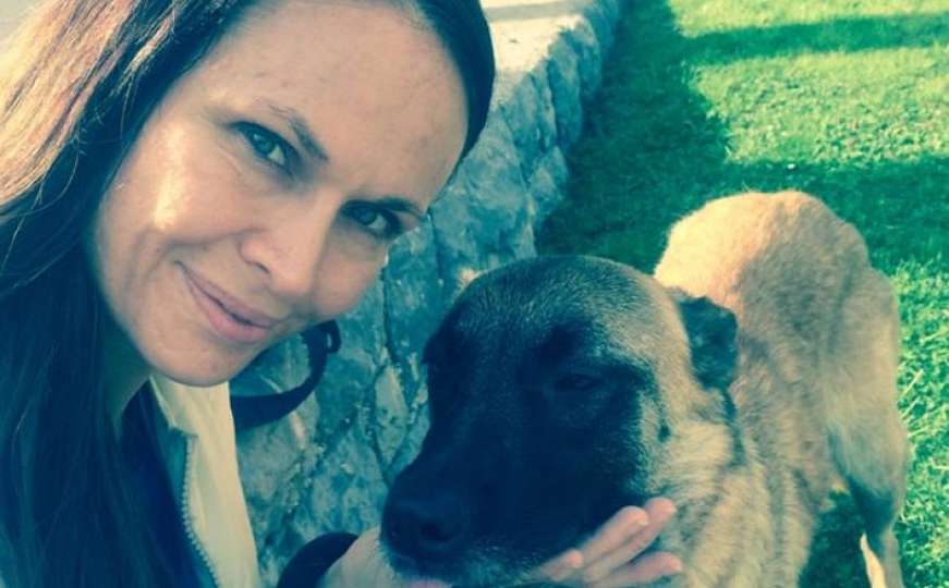 Mejra Festić, viceguvernerka Banke Slovenije, spašava pse lutalice u BiH
