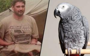 Papagaj svjedočio ubistvu i sada ponavlja tri jezive riječi