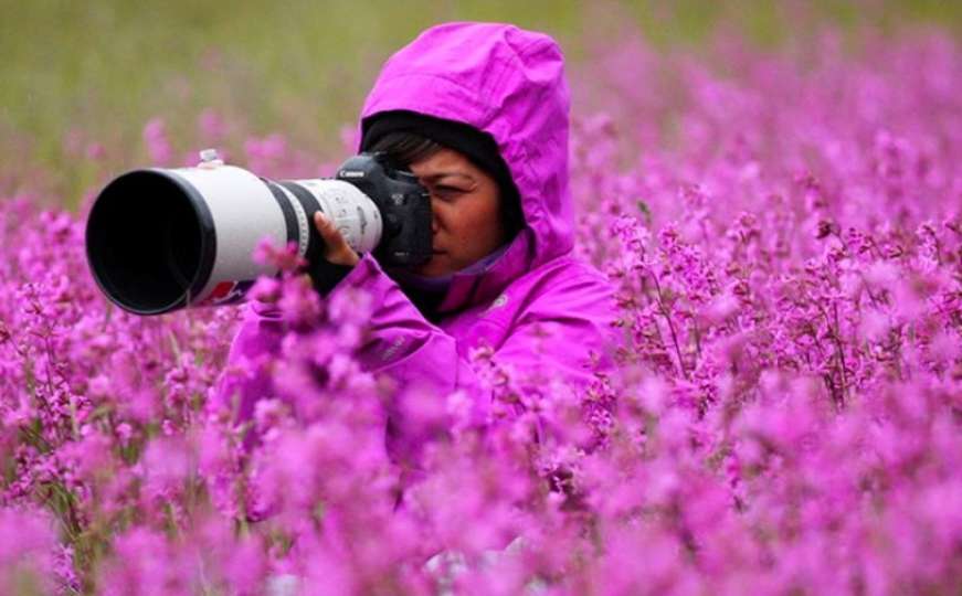 Više od 20 razloga zašto je fotograf prirode najbolji posao na svijetu