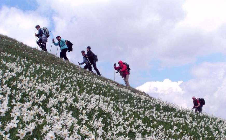 Volite planine i snimate ih? Svoje radove pošaljite na FOK