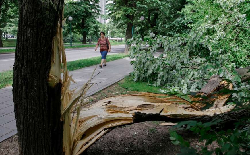 Sarajevo: Vjetar srušio stablo na Vilsonovom