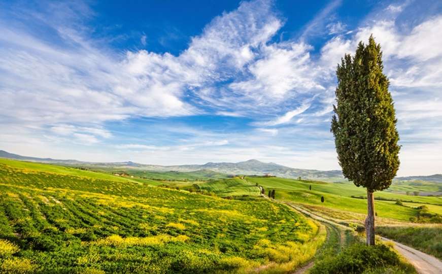 Čarobna polja Toscane 