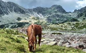 100 prelijepih ledničkih jezera među prašumama