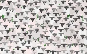 Možete li pronaći kozu u "moru" ovaca?