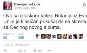 Ceca i Brexit