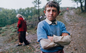 Srijeda na festivalu WARM: Odaberite program za sebe