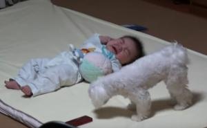 Nemoj plakati, molim te: Kako preslatki psić smiruje bebicu