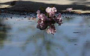 U narednim danima sunčano i vruće, temperature do 34 stepeni