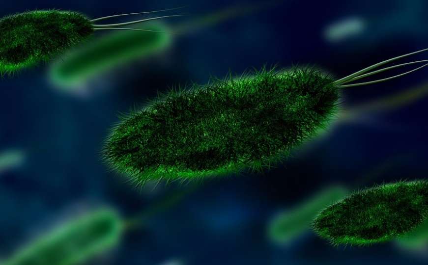 Pojavio se novi oblik gljivične infekcije opasne po život