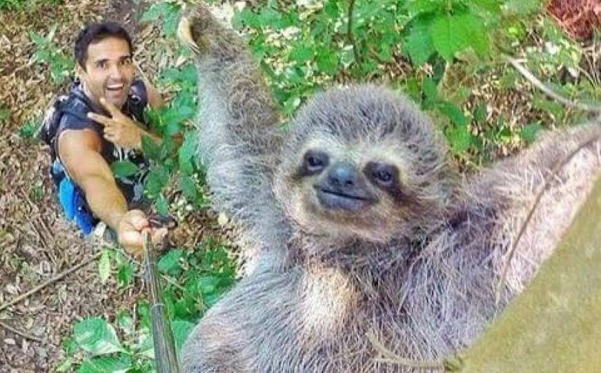 Da li je ovo najbolji selfie ikad?