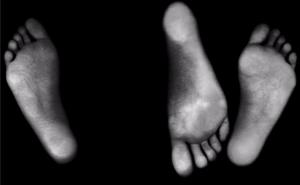 Otvaranje izložbe Anura Hadžiomerspahića