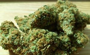 Na graničnom prelazu zaplijenjeno 17 kilograma marihuane