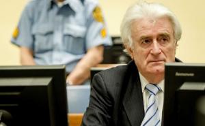 Karadžić se žalio 'po 50 osnova': Nepravedno su mi presudili