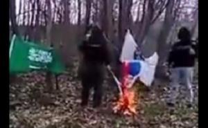 Ako BiH ne sprovede istragu o spaljivanju zastave to će učiniti Srbija
