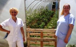 Divna priča iz Tuzle: Medicinari uzgajaju povrće za teško oboljelu djecu