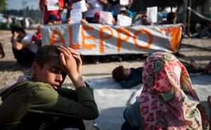 40 posto izbjeglica u svijetu čine stanovnici arapskih zemalja 