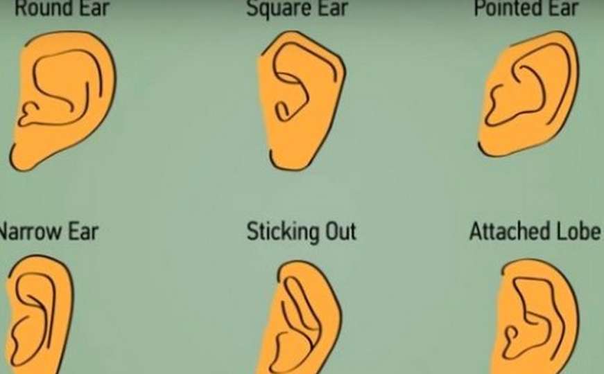 Šta oblik uha govori o vama?