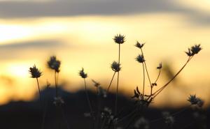 Vrijeme danas: Promjenjivo oblačno