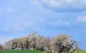 Vrijeme sutra - Prijepodne pretežno sunčano