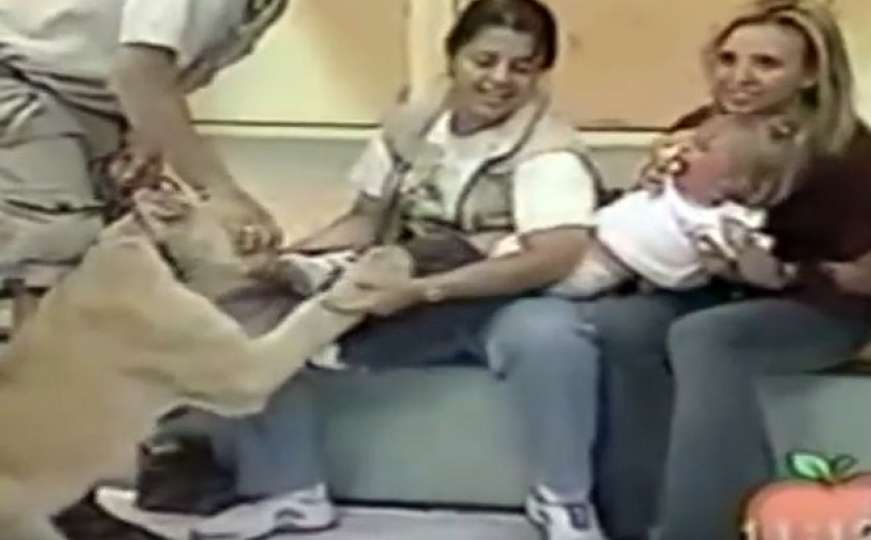 Lav napao dijete uživo na TV-u, a mama i voditelj se smješkaju!