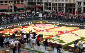 Trg Grand Place u Briselu krasi cvijetni tepih od 600.000 begonija i dalija 