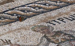 Na Kipru otkriven mozaik iz četvrtog stoljeća