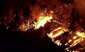 U Kaliforniji bukti požar, stanovnici se moraju evakuirati