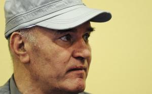 Bliži se kraj suđenja Mladiću: Evo šta je njegov posljednji svjedok poručio