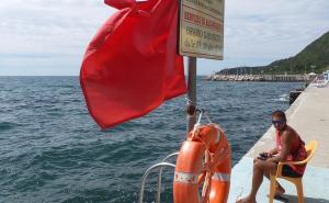 Uzbuna na Jadranu: Ajkula blizu obale, zabranjeno kupanje