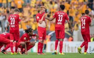 Navijači Dynamo Dresdena na tribinu donijeli glavu bika