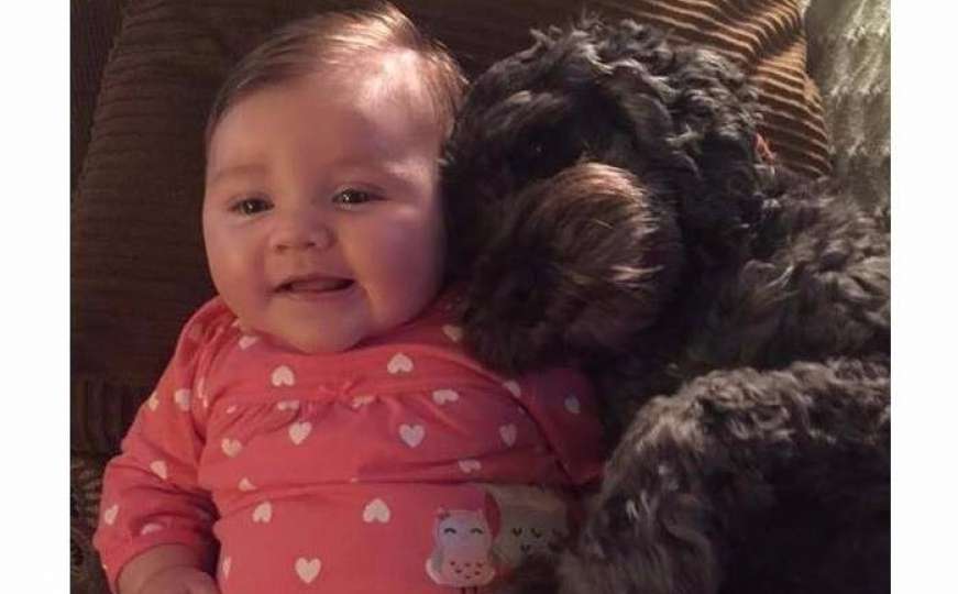 Najbolji čovjekov prijatelj: Pas se žrtvovao i spasio bebu u požaru