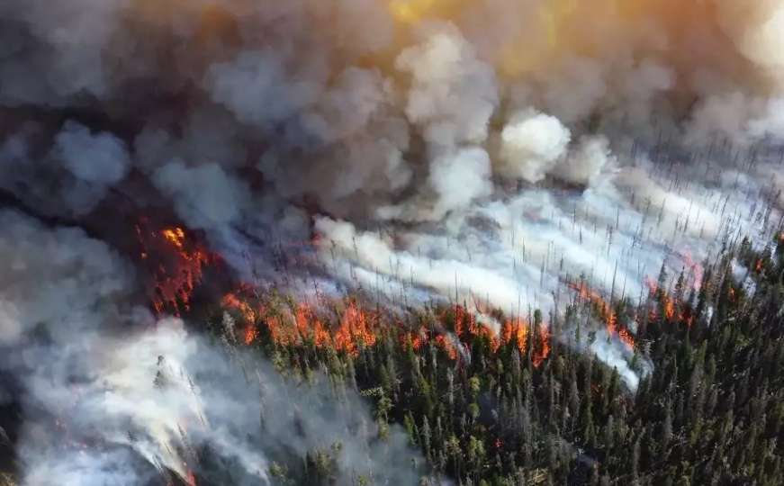 Požar iznad Trogira: Gori nisko raslinje, makija i borova šuma
