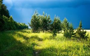 Danas sunčano, temperature i preko 30 stepeni