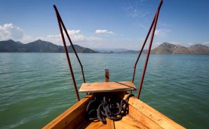 Prirodni rezervat rijetkih ptica i riba, kudravi pelikan zaštitni znak