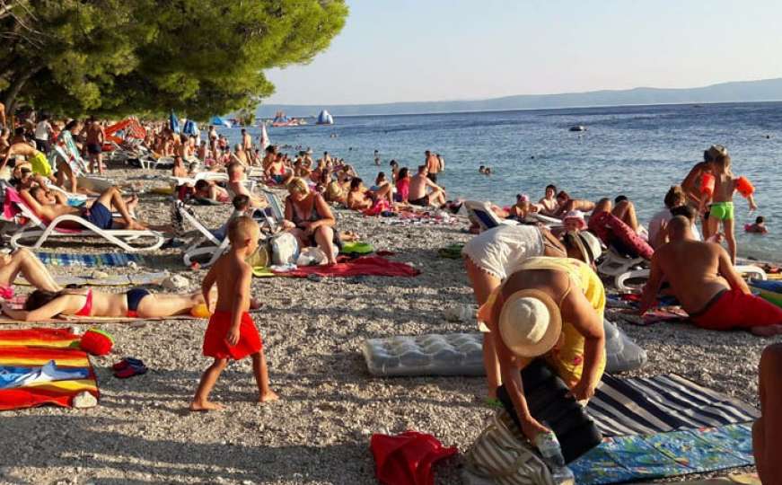 Panika na hrvatskim plažama zbog velikih jata meduza
