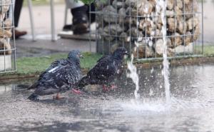 Upozorenje: U pet bh. gradova žuti meteoalarm zbog visokih temperatura