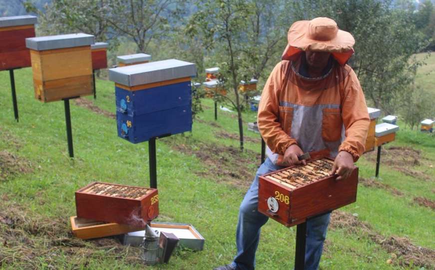 Pčelarstvo na drugačiji način: Priča Miloša Perišića iz Dervente 
