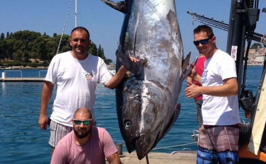 U Hrvatskoj ulovljena najveća riba ikada