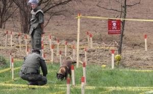 Eksplozija mine: Poginuo šumar, dvojica teško povrijeđena