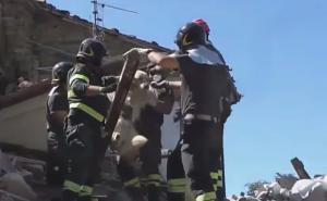 Čudo: Nakon deset dana iz ruševina izvukli živog i zdravog psa