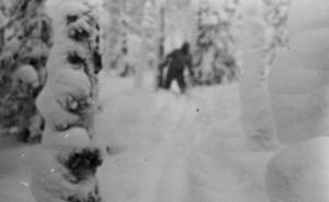 Mračna tajna ruske planine: Niko ne zna šta je ubilo devet studenata