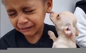 Dječak dobio psića i od sreće nije mogao prestati plakati