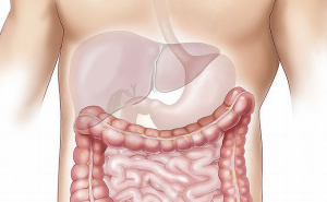Četiri znaka da vam je tijelo puno otrova