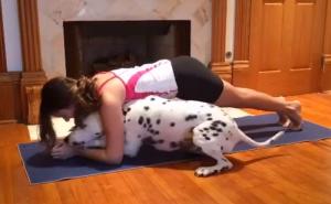 Simpatično: Dalmatiner ometa svoju gazdaricu u vježbanju