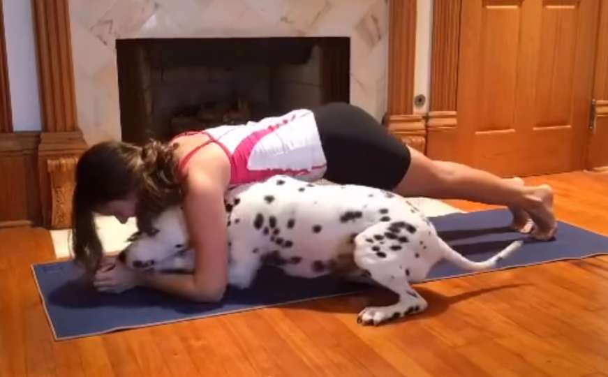 Simpatično: Dalmatiner ometa svoju gazdaricu u vježbanju