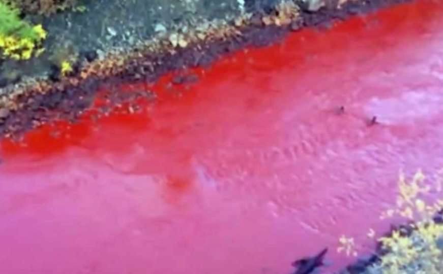 Sibirska rijeka poprimila boju krvi
